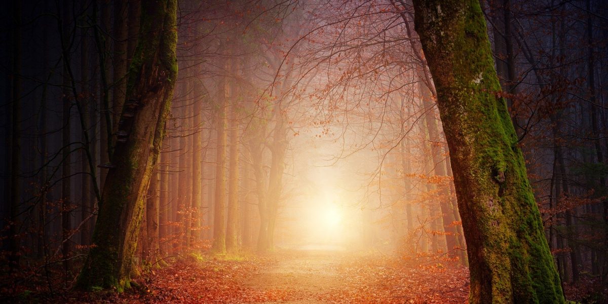 Újratervezés - út a jövőbe (Fotó: Pixabay) Újratervezés - út a jövőbe (Fotó: Pixabay)
